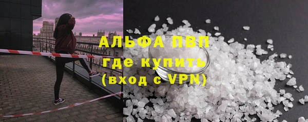 Альфа ПВП Верея