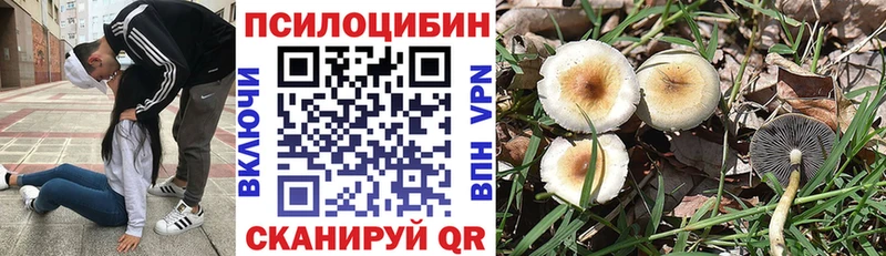 Галлюциногенные грибы ЛСД  купить   KRAKEN tor  Заозёрный 