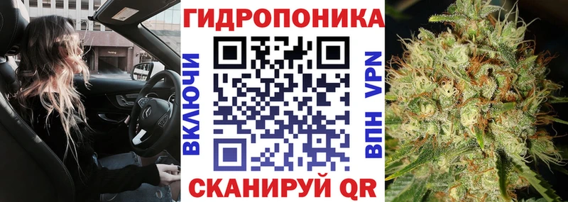 где купить наркоту  ОМГ ОМГ зеркало  Бошки марихуана THC 21%  Заозёрный 